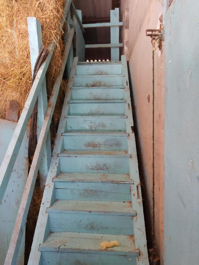 Ferme Du Sapin Daire Daillancourt Dış mekan fotoğraf